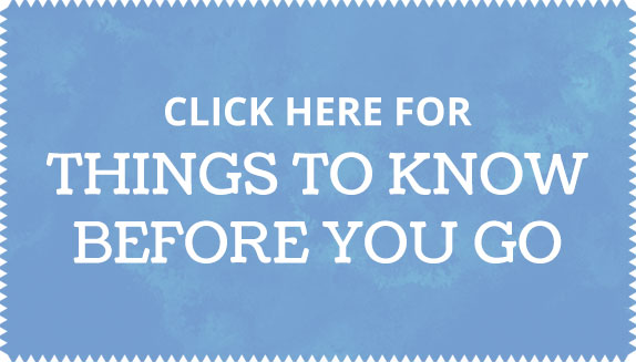 LiveOakChristmasTrees-KnowBeforeYouGo LiveOakChristmasTrees-KnowBeforeYouGo