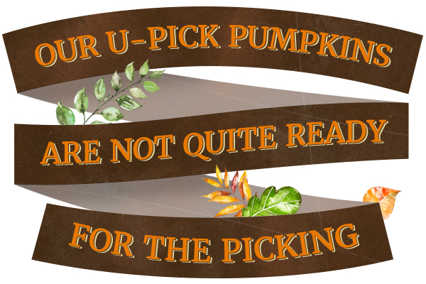 upick-notready upick-notready