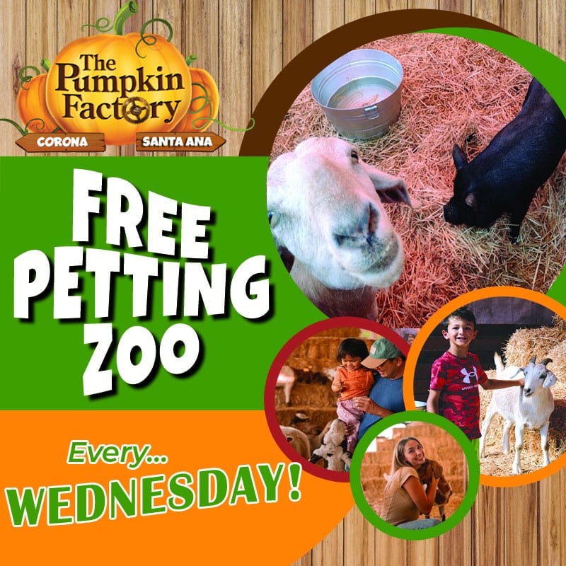 PetZoo-2026 copy