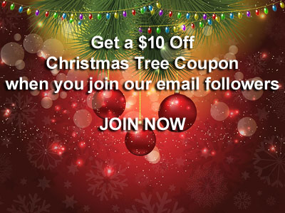 Corona Christmas Trees - The Pumpkin Factory in Corona and Westminster