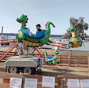 Flying Dinos