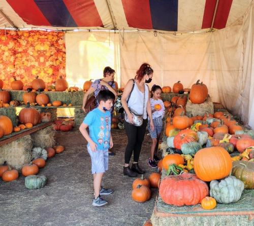 IMG_20211003_141855974