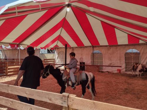 IMG 20231001 131745921 HDR