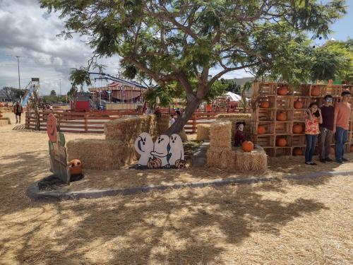 IMG 20231001 132031610 HDR