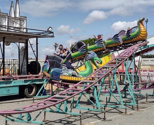 IMG 20231001 132638257 HDR