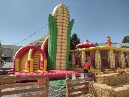 IMG 20231001 133121207 HDR