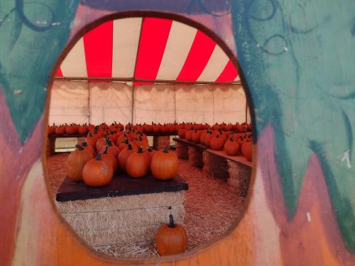 IMG 20231001 153236509