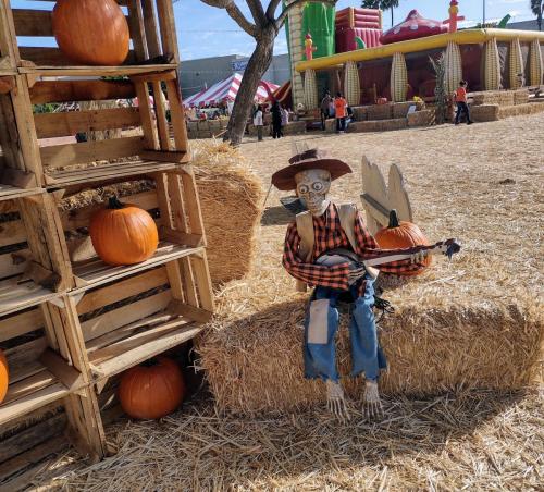 IMG 20231001 154924082 HDR